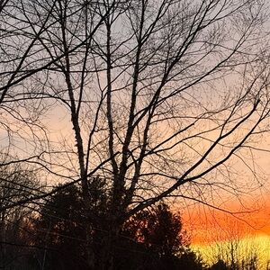 Meet your Posher, Jaytria